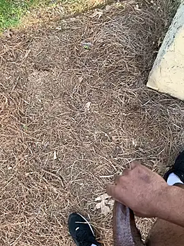 Snapshot of PublicBbc chatting on March 25, 2026, 10:41 pm PublicBbc online show from March 25, 2026, 10:41 pm