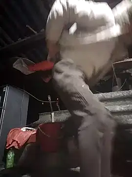 Snapshot of baby8822 chatting on January 11, 2026, 11:11 pm baby8822 online show from January 11, 2026, 11:11 pm