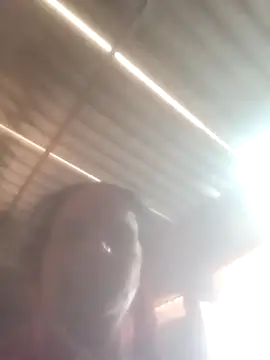 Pinki rajak online show from April 5, 2026, 9:38 am