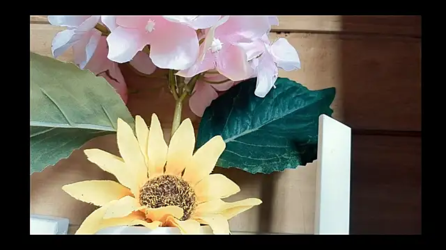 Snapshot of vickvalencia2 chatting on May 7, 2026, 1:03 pm vickvalencia2 online show from May 7, 2026, 1:03 pm