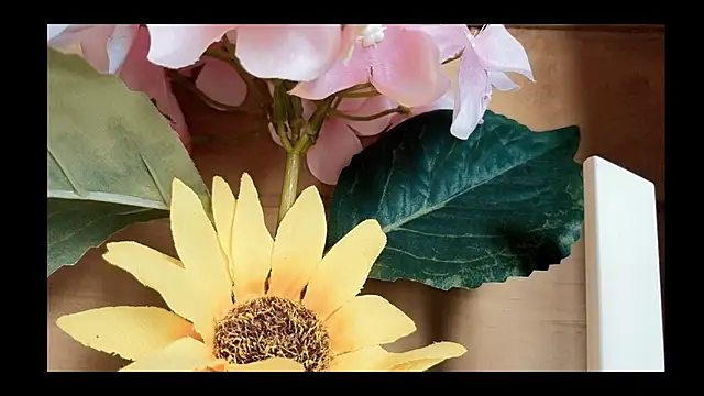 Snapshot of vickvalencia2 chatting on May 4, 2026, 1:47 pm vickvalencia2 online show from May 4, 2026, 1:47 pm