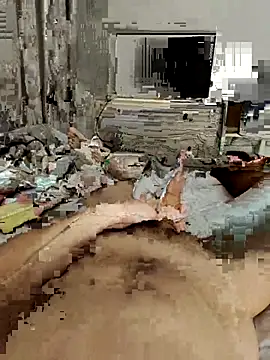 donndiamon online show from December 22, 2025, 4:56 am