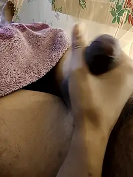 susuadult online show from January 14, 2026, 8:34 pm