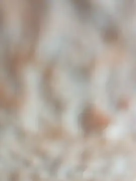 Snapshot of layanehot chatting on December 19, 2025, 9:44 am layanehot online show from December 19, 2025, 9:44 am