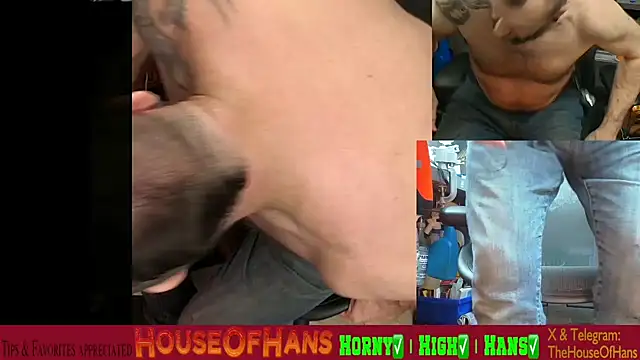 Snapshot of HouseOfHans chatting on February 19, 2026, 1:46 am HouseOfHans online show from February 19, 2026, 1:46 am