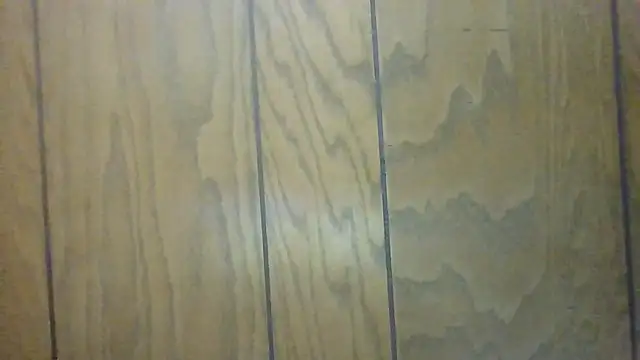 SilkyGwen online show from January 10, 2026, 1:17 pm