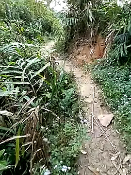 Snapshot of seacyre chatting on April 11, 2026, 12:29 am seacyre online show from April 11, 2026, 12:29 am