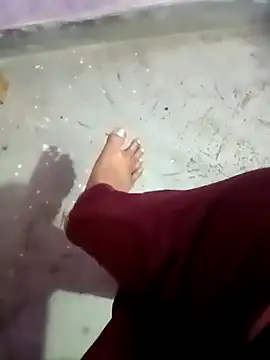 Caterosee online show from February 10, 2026, 10:36 am