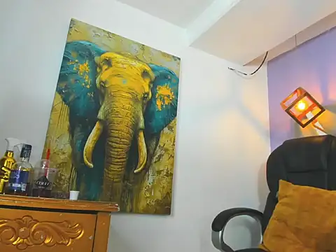 partyts online show from February 12, 2026, 7:19 am