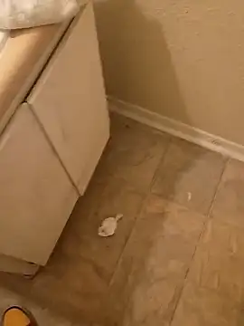 Snapshot of SmudgingHaunch chatting on February 12, 2026, 1:49 am SmudgingHaunch online show from February 12, 2026, 1:49 am