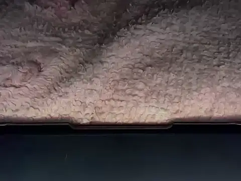 OherDav online show from February 25, 2026, 7:41 am