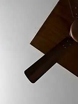 Telugumistress online show from February 26, 2026, 7:41 am