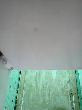 novio-de-la-tarde online show from February 12, 2026, 11:37 pm