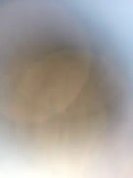 Snapshot of novio-de-la-tarde chatting on April 24, 2026, 12:56 am novio-de-la-tarde online show from April 24, 2026, 12:56 am