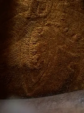 Snapshot of ONestark chatting on January 8, 2026, 8:31 am ONestark online show from January 8, 2026, 8:31 am