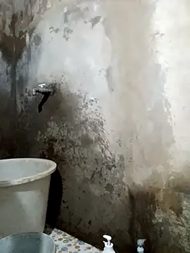 yula-bi online show from March 30, 2026, 11:11 am