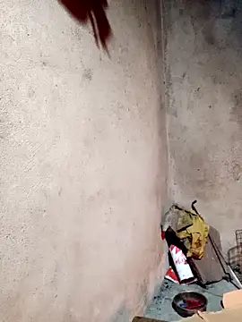 yula-bi online show from March 10, 2026, 11:58 am