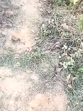 Snapshot of Sheela_Sex90 chatting on April 15, 2026, 11:59 am Sheela Sex90 online show from April 15, 2026, 11:59 am