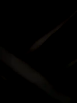 laramacedo2026 online show from January 8, 2026, 10:16 pm