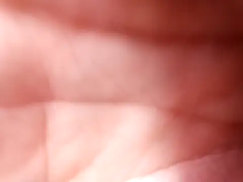 mellzinhacasada online show from February 16, 2026, 5:00 pm