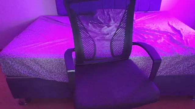 Snapshot of Sofii_unicorn chatting on March 14, 2026, 1:44 am Sofii unicorn online show from March 14, 2026, 1:44 am