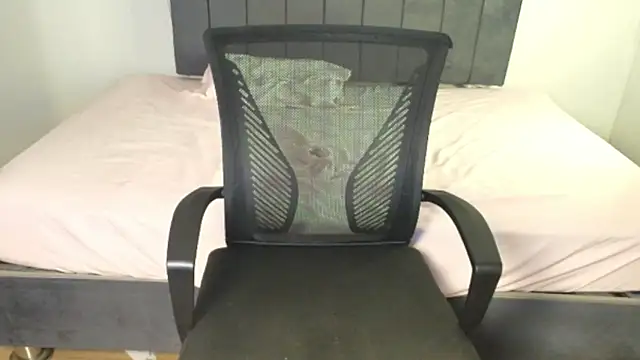 Snapshot of Sofii_unicorn chatting on March 8, 2026, 2:04 am Sofii unicorn online show from March 8, 2026, 2:04 am