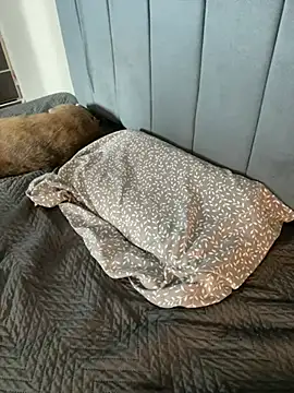 Snapshot of Sofii_unicorn chatting on April 9, 2026, 3:19 am Sofii unicorn online show from April 9, 2026, 3:19 am