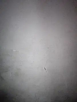 xrealcam699 online show from February 22, 2026, 7:33 am