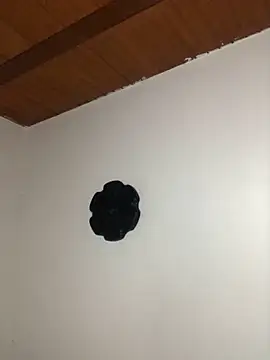 Snapshot of seth_c chatting on March 21, 2026, 6:12 pm seth c online show from March 21, 2026, 6:12 pm