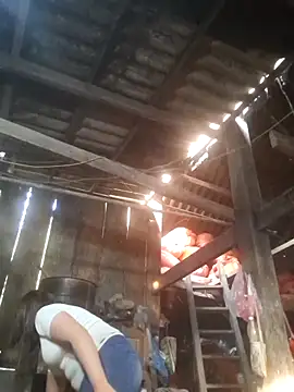 Snapshot of dakota-kis chatting on March 19, 2026, 12:43 am dakota-kis online show from March 19, 2026, 12:43 am