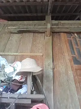 Snapshot of dakota-kis chatting on April 11, 2026, 7:45 am dakota-kis online show from April 11, 2026, 7:45 am