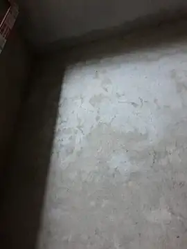 Snapshot of dakota-kis chatting on April 11, 2026, 12:51 am dakota-kis online show from April 11, 2026, 12:51 am