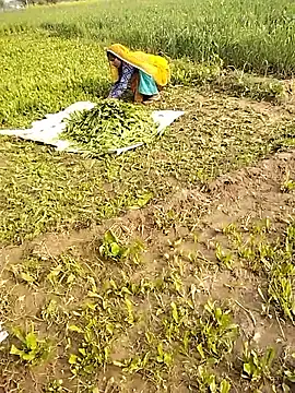 Snapshot of hornycouple20000 chatting on January 10, 2026, 5:03 am hornycouple20000 online show from January 10, 2026, 5:03 am