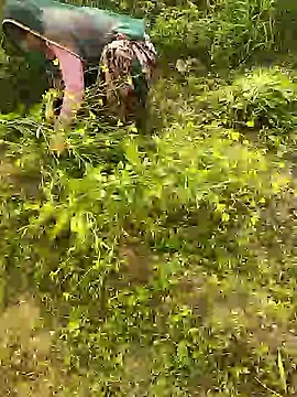 Snapshot of hornycouple20000 chatting on January 8, 2026, 5:46 am hornycouple20000 online show from January 8, 2026, 5:46 am