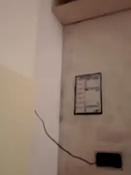 obediente23 online show from January 9, 2026, 2:40 am