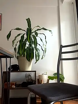 Snapshot of Chubandchaser chatting on January 8, 2026, 12:22 pm Chubandchaser online show from January 8, 2026, 12:22 pm