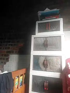 donaaa2 online show from February 28, 2026, 9:09 am