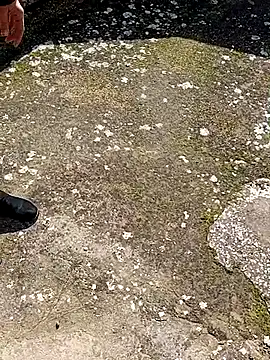 GanaderoMorboso online show from February 15, 2026, 11:09 am