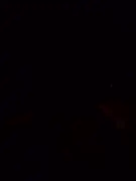 laperracobarde online show from January 13, 2026, 5:06 pm