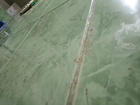 paladito01 online show from February 7, 2026, 12:29 am