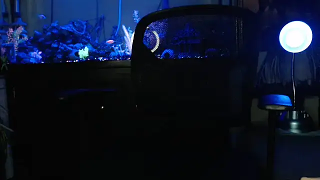 EspanolVato online show from March 23, 2026, 9:09 am