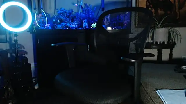 EspanolVato online show from February 21, 2026, 9:44 am