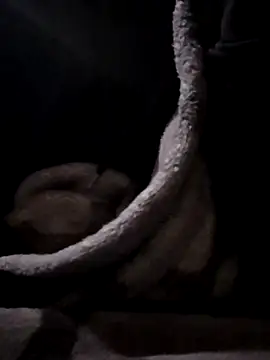 Snapshot of YoungAsainWithATrunk chatting on January 19, 2026, 12:09 pm YoungAsainWithATrunk online show from January 19, 2026, 12:09 pm