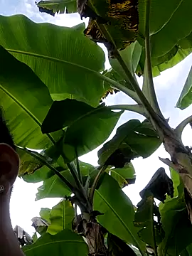 Snapshot of Wild_and_Sweets chatting on January 11, 2026, 7:54 pm Wild and Sweets online show from January 11, 2026, 7:54 pm