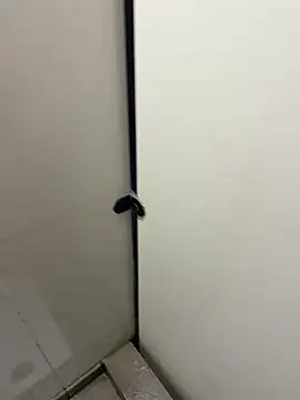 Johnlim880 online show from January 10, 2026, 4:52 am