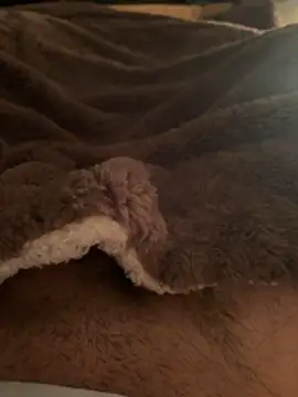 Heygirl2 online show from January 6, 2026, 10:36 pm