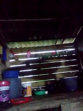 Agnes-baby online show from March 12, 2026, 10:52 am