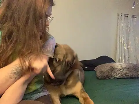 Intothewoodswego online show from February 22, 2026, 1:30 am