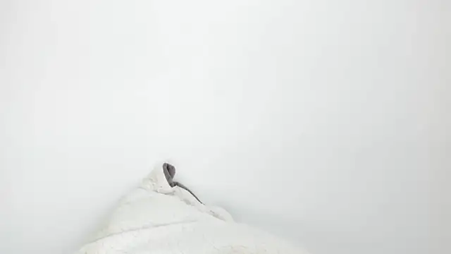 Snapshot of Sarah_sumemers chatting on March 4, 2026, 8:16 pm Sarah sumemers online show from March 4, 2026, 8:16 pm