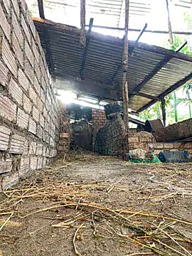 Ginny 2x online show from February 15, 2026, 9:41 am